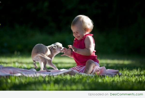 Baby Playing With Puppy