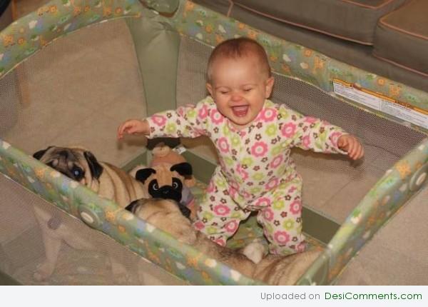 cute babies with funny dogs pics