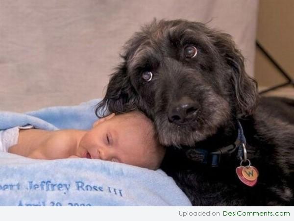 baby-and-dog