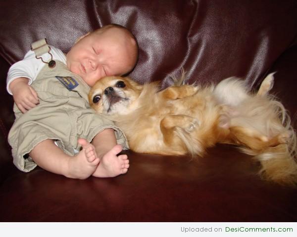Sleeping With Dog