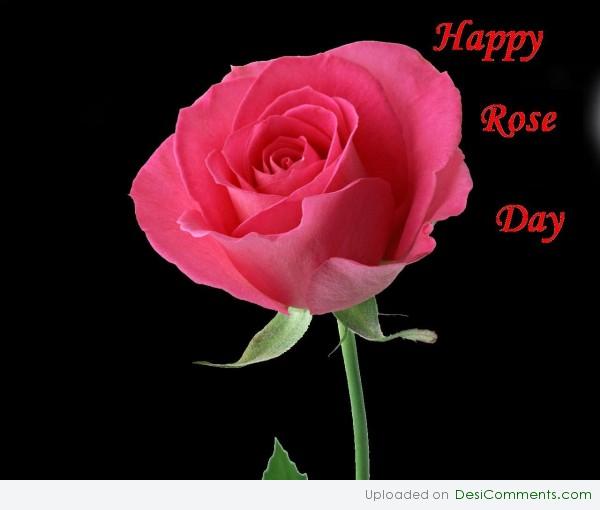 Rose day
