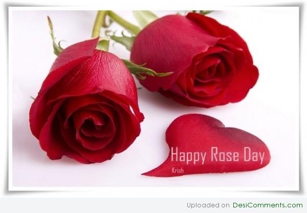 Happy rose day