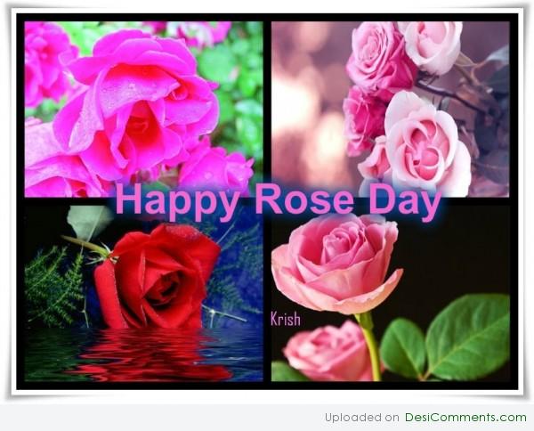 Happy Rose day