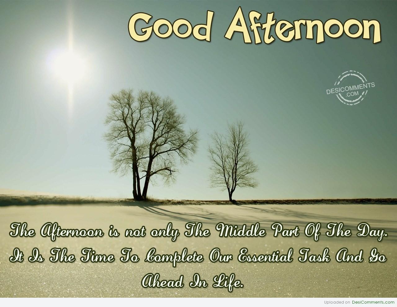 Wishing You A Very Good Afternoon - DesiComments.com