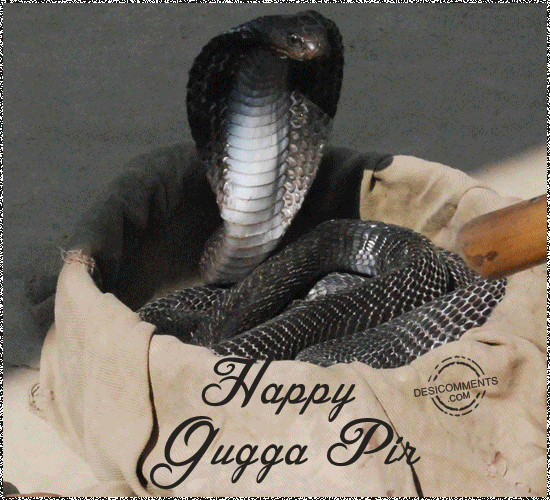 Happy Gugga Pir