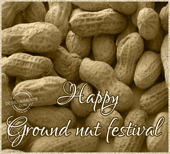 Happy Ground Nut Festival