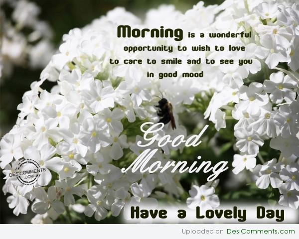 Have A Lovely Morning