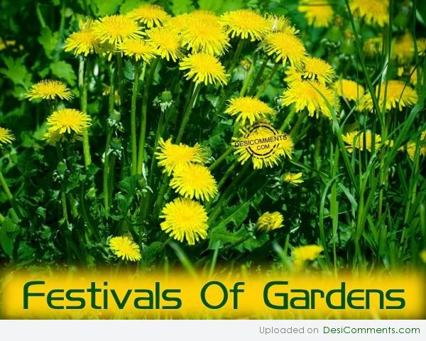 Festivals Of Gardens