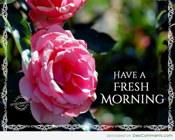 Have A Fresh Morning