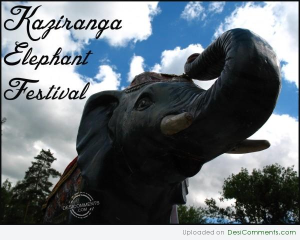 Kaziranga Elephant Festival