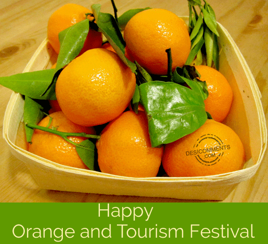 Happy Orange And Tourism Festival