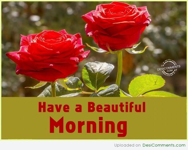Have A Beautiful Morning