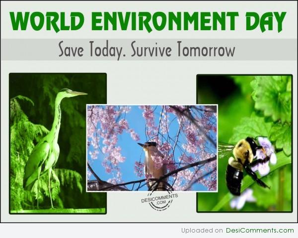 Happy World Environment Day