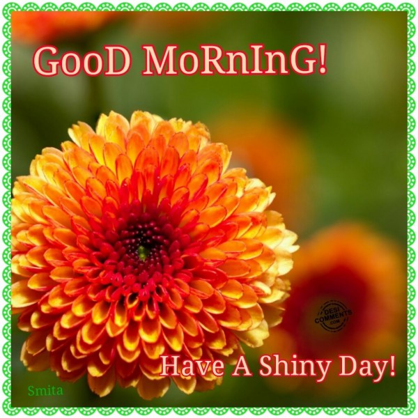 Good Morning - Have A Shiny Day