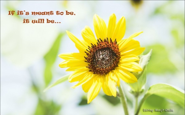 If it meant to be, it will be…