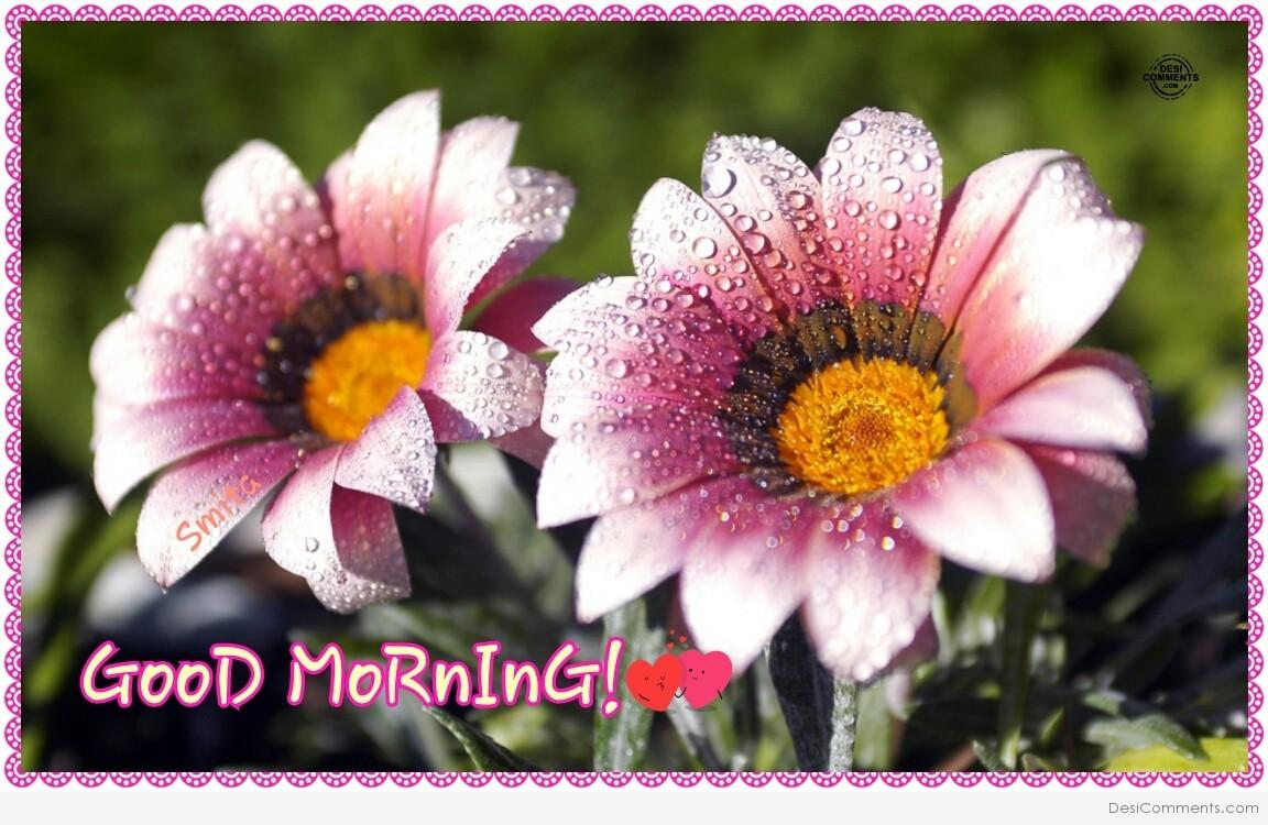 Good Morning – Flowers - DesiComments.com