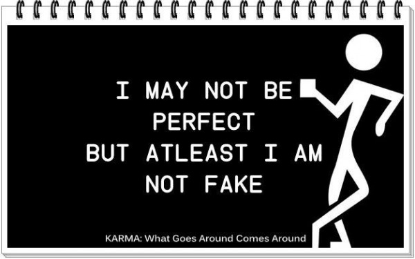 I may not be perfect...