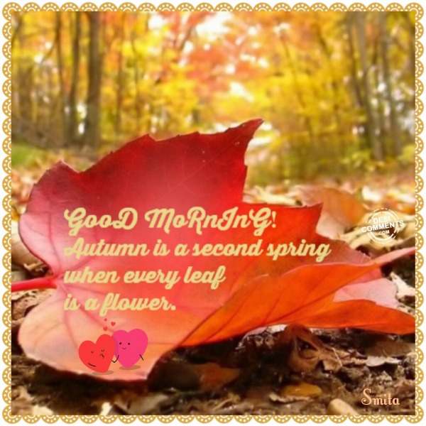 Good Morning – Autumn is a second spring…