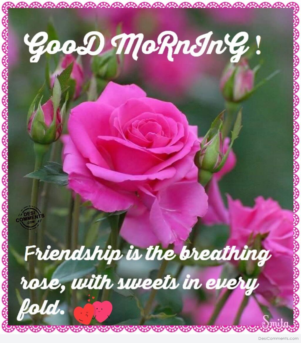 Good Morning – Friendship is the breathing rose… - DesiComments.com