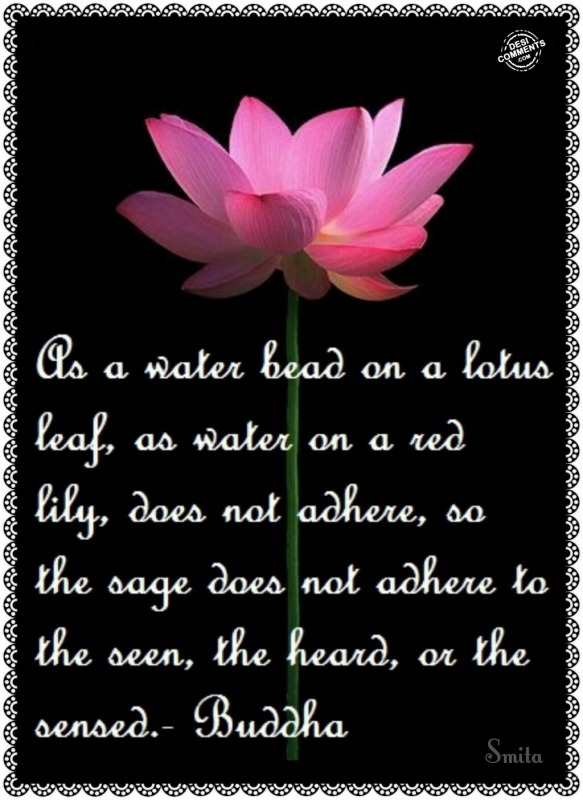 As a water bead on a lotus flower...