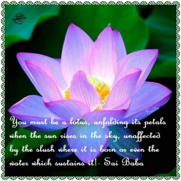 You must be a lotus, unfolding its petals...