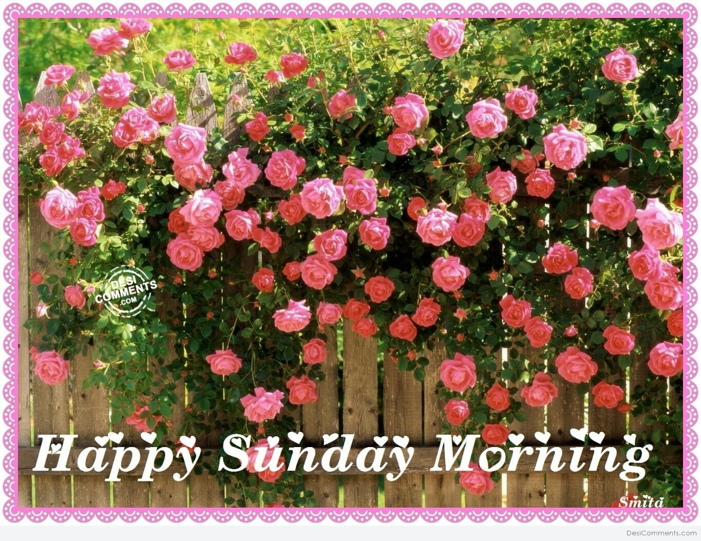 Happy Sunday Morning - DesiComments.com