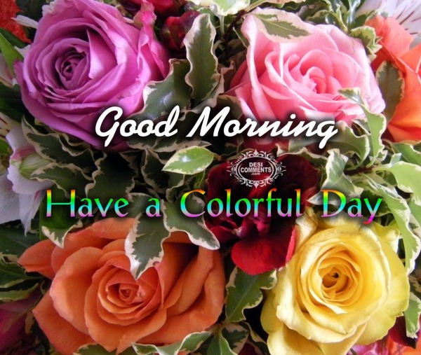Good Morning - Have a Colorful Day