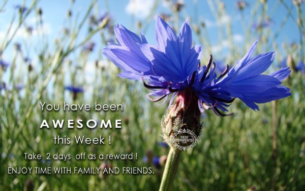 You have been awesome this week