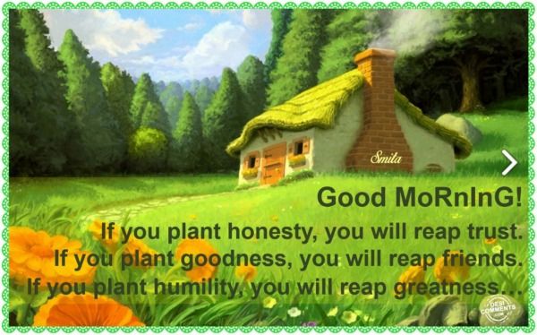 Good Morning - If you plant honesty...