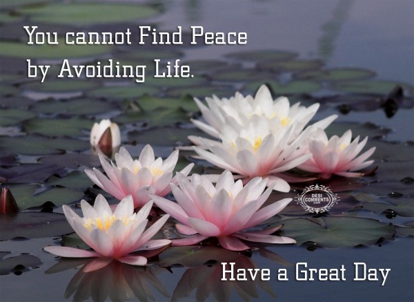You Cannot Find Peace By Avoiding Life