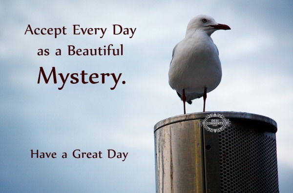 Accept Every Day As A Beautiful Mystery