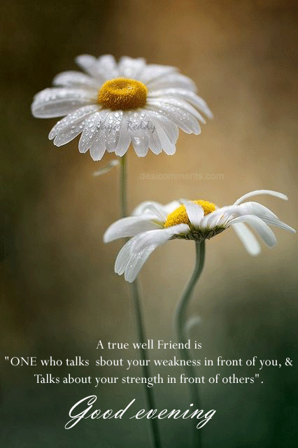 Good Evening - A true well friend is one who...