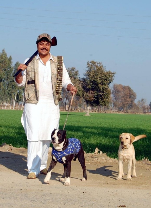 Guggu Gill With Two Dogs