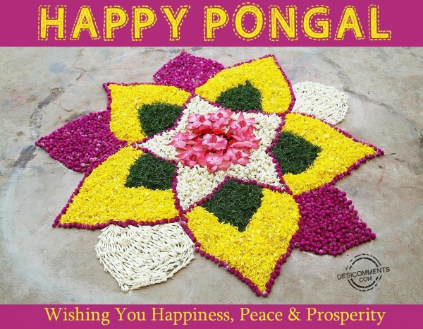 Happy Pongal