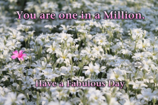 Have a fabulous day – You are one in a million