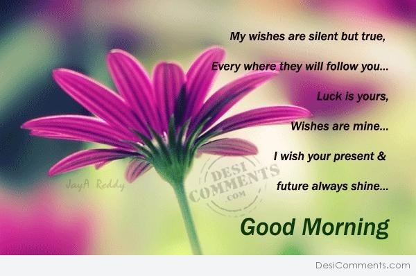 Good Morning – My wishes are silent but true… - DesiComments.com