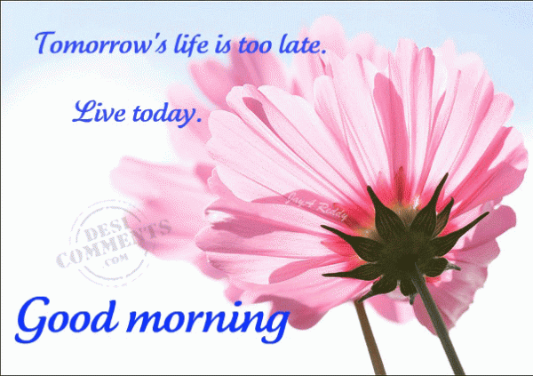 Good Morning - Tomorrow's life is too late...