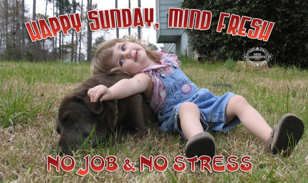 No Job & No Stress