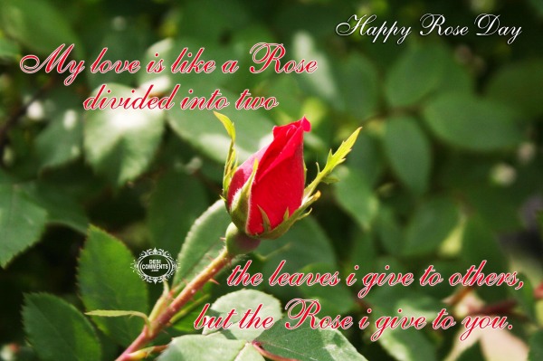 Happy Rose Day - The rose I give to you