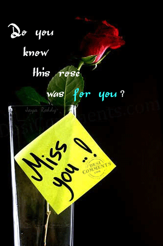 Do you know this rose was for you? Miss you