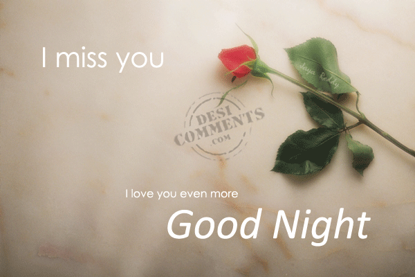 Good Night - I miss you