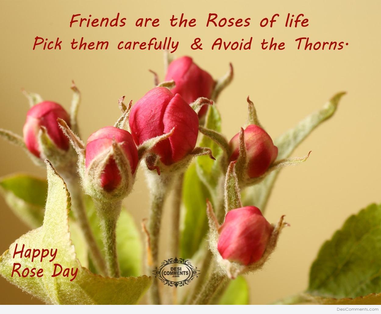 Happy Rose Day – Friends are the roses of life - DesiComments.com