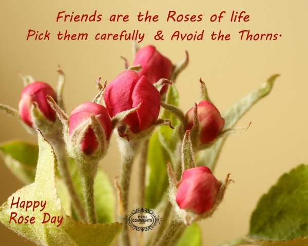 Happy Rose Day – Friends are the roses of life