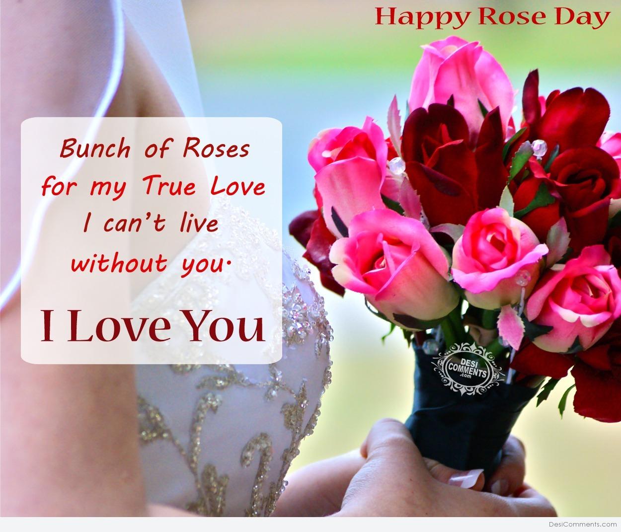 Happy Rose Day – Bunch of roses for my true love - DesiComments.com