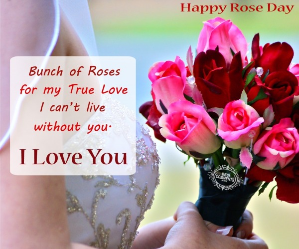 Happy Rose Day – Bunch of roses for my true love