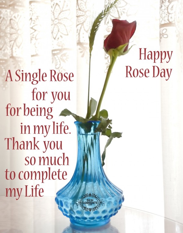 Happy Rose Day - A single rose for you being in my life