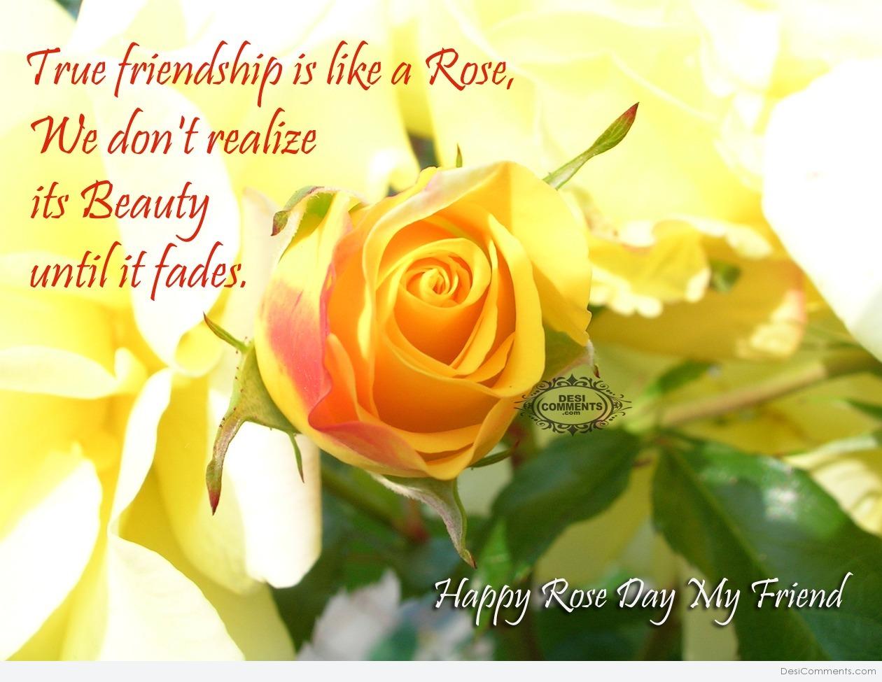 Happy Rose Day – True friendship is like a rose… - DesiComments.com