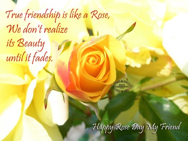 Happy Rose Day - True friendship is like a rose...