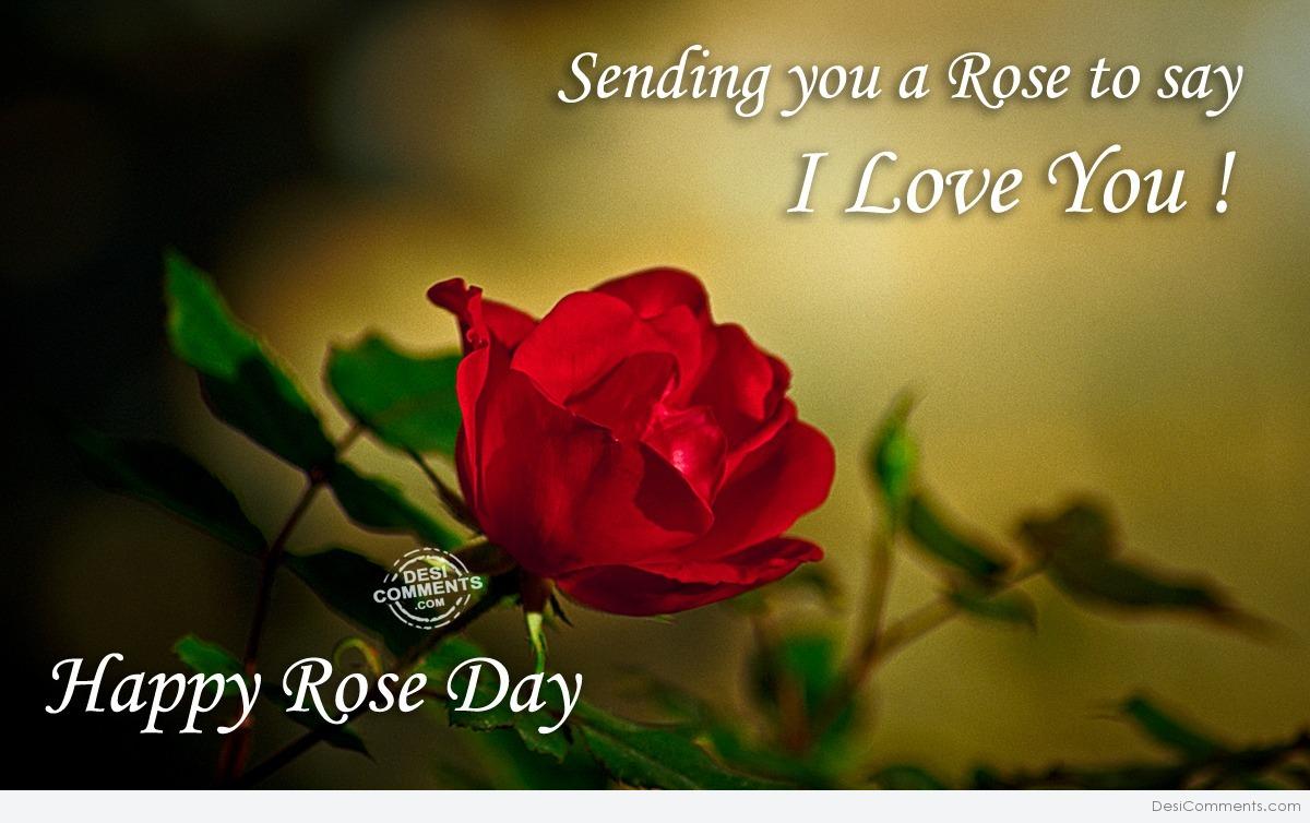 Sending you a rose to say I love you - DesiComments.com