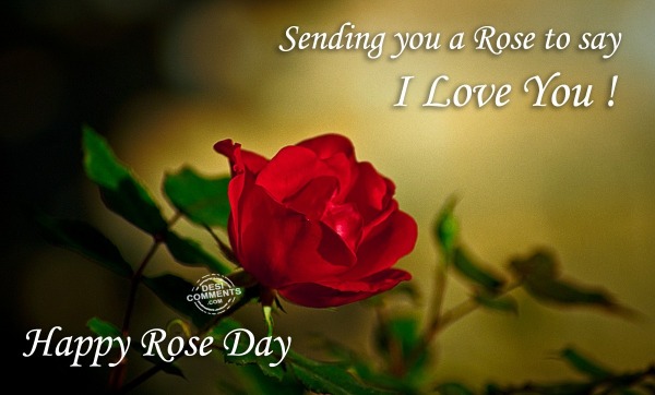 Happy Rose Day